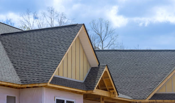 Best Slate Roofing  in Renville, MN