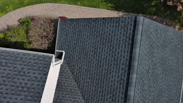 Best Storm Damage Roof Repair  in Renville, MN