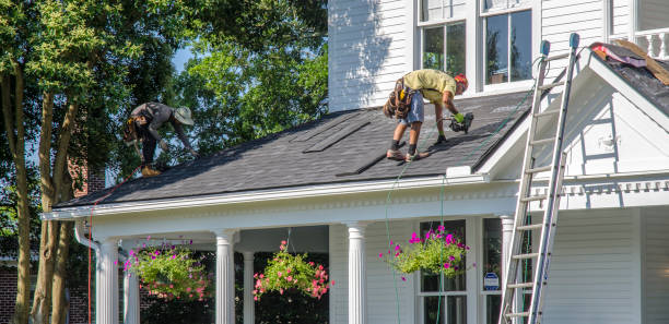 Best Rubber Roofing (EPDM, TPO)  in Renville, MN